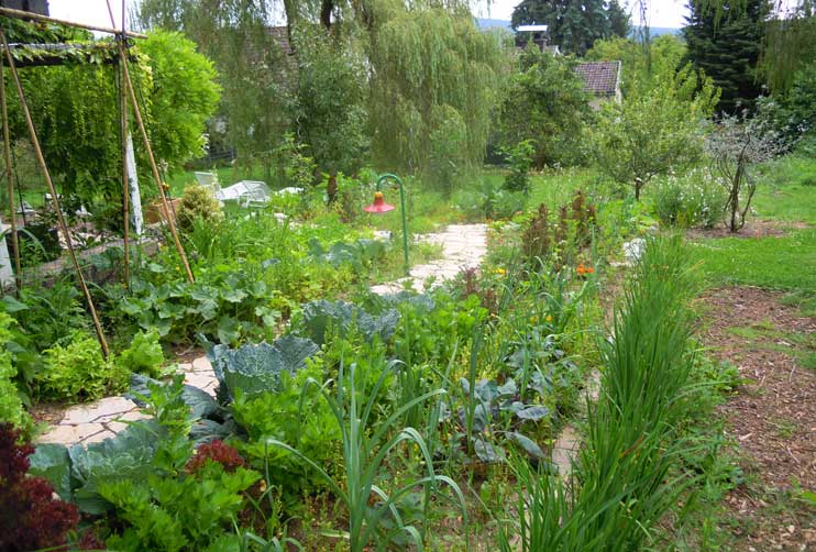 Petra Hirsch - Gartenplanung - Ländlicher Garten