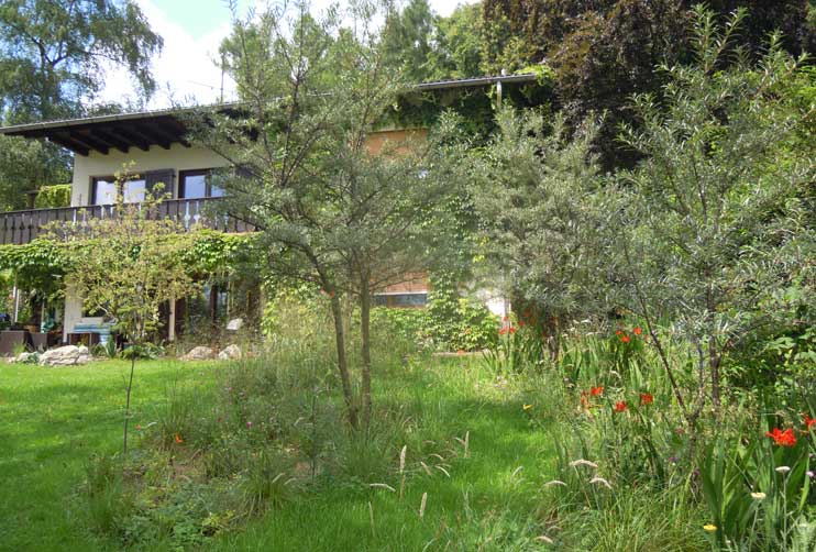 Petra Hirsch - Gartenplanung - Ländlicher Garten