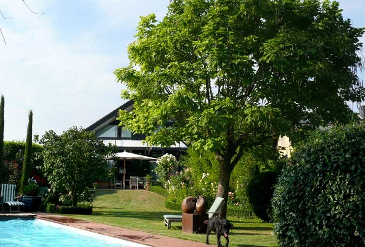 Petra Hirsch - Gartenplanung - Sonnengarten im Rheingau