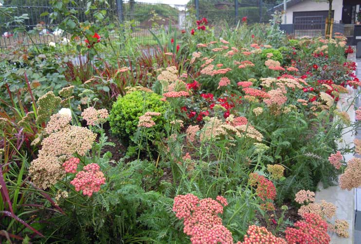 Petra Hirsch - Gartenplanung - Garten auf dem Land