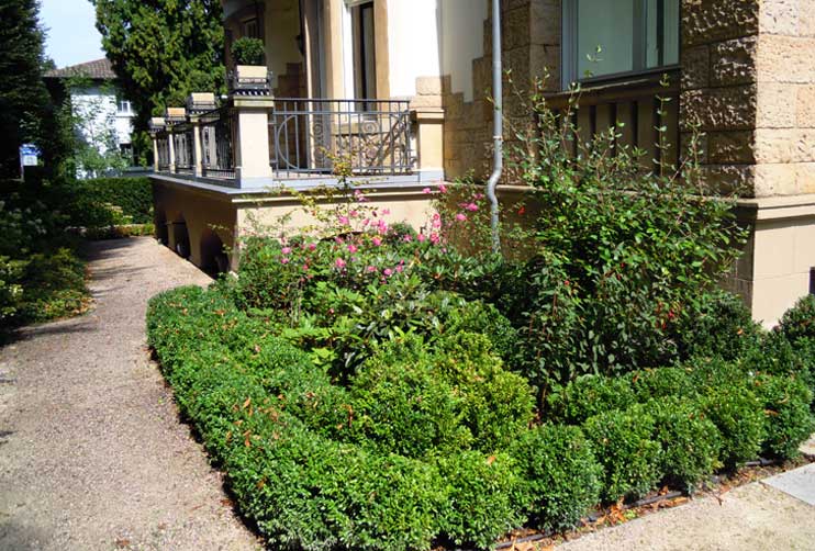 Petra Hirsch - Gartenplanung - Historischer Stadtgarten