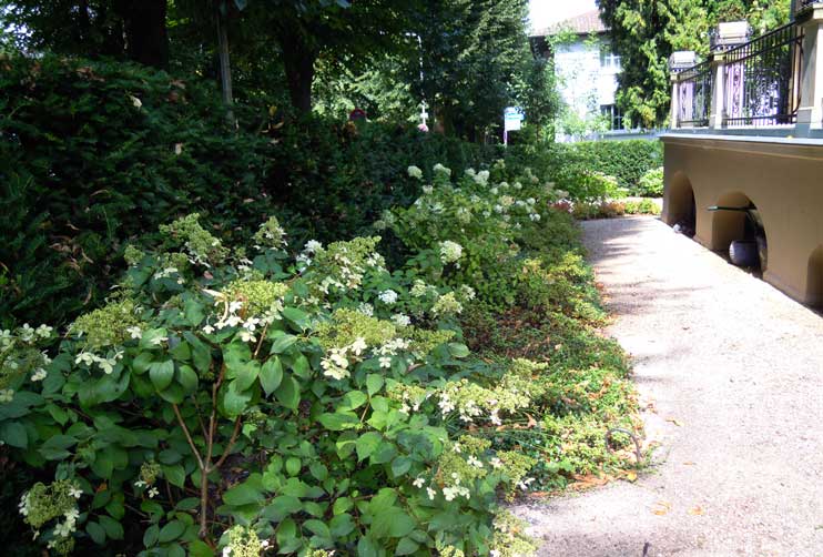 Petra Hirsch - Gartenplanung - Historischer Stadtgarten