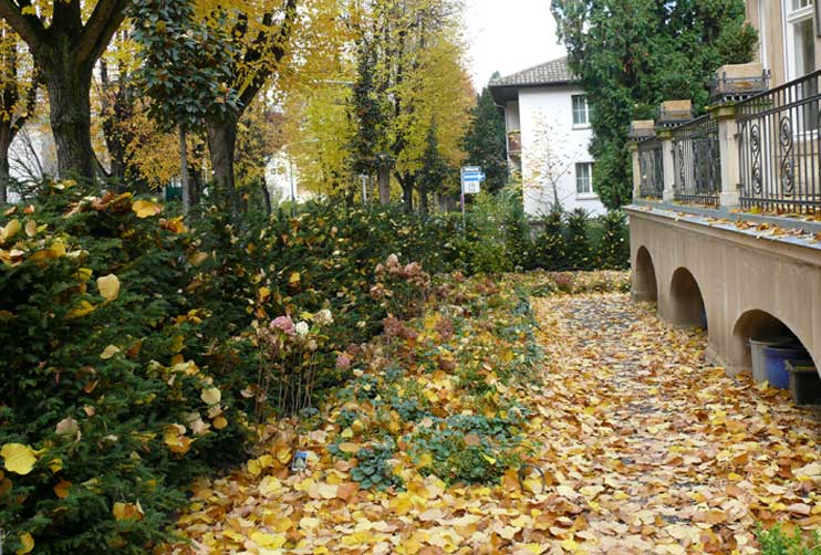 Petra Hirsch - Gartenplanung - Historischer Stadtgarten