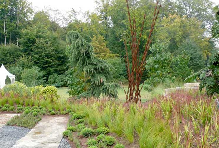 Petra Hirsch - Gartenplanung - Schaugarten Schloss Wolfsgarten
